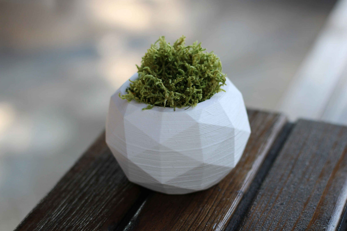 Gloria Home Concrete Diagonal Plant Pot