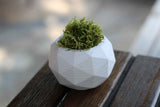 Gloria Home Concrete Diagonal Plant Pot