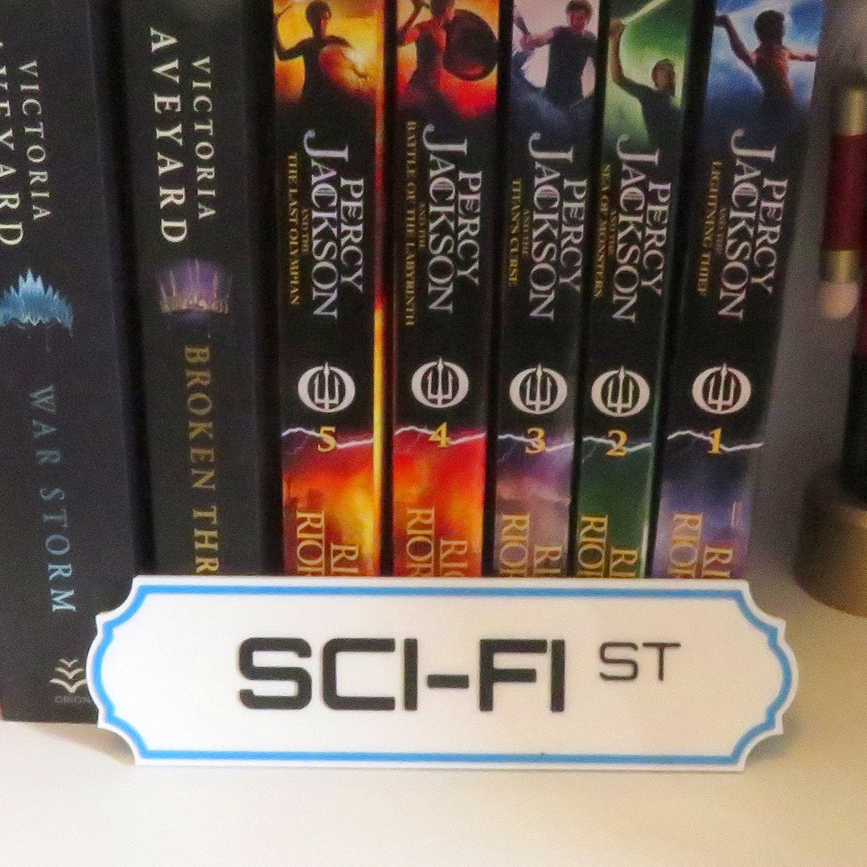 Filamora Studios Custom Bookshelf Street Sign Library Label