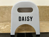 EasyEat Slow Feeder 4 Raised Pet Bowl for Dogs & Cats