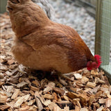 Dandy’s Chicken Coop Chips