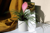 Gloria Home Concrete Toothbrush Holder
