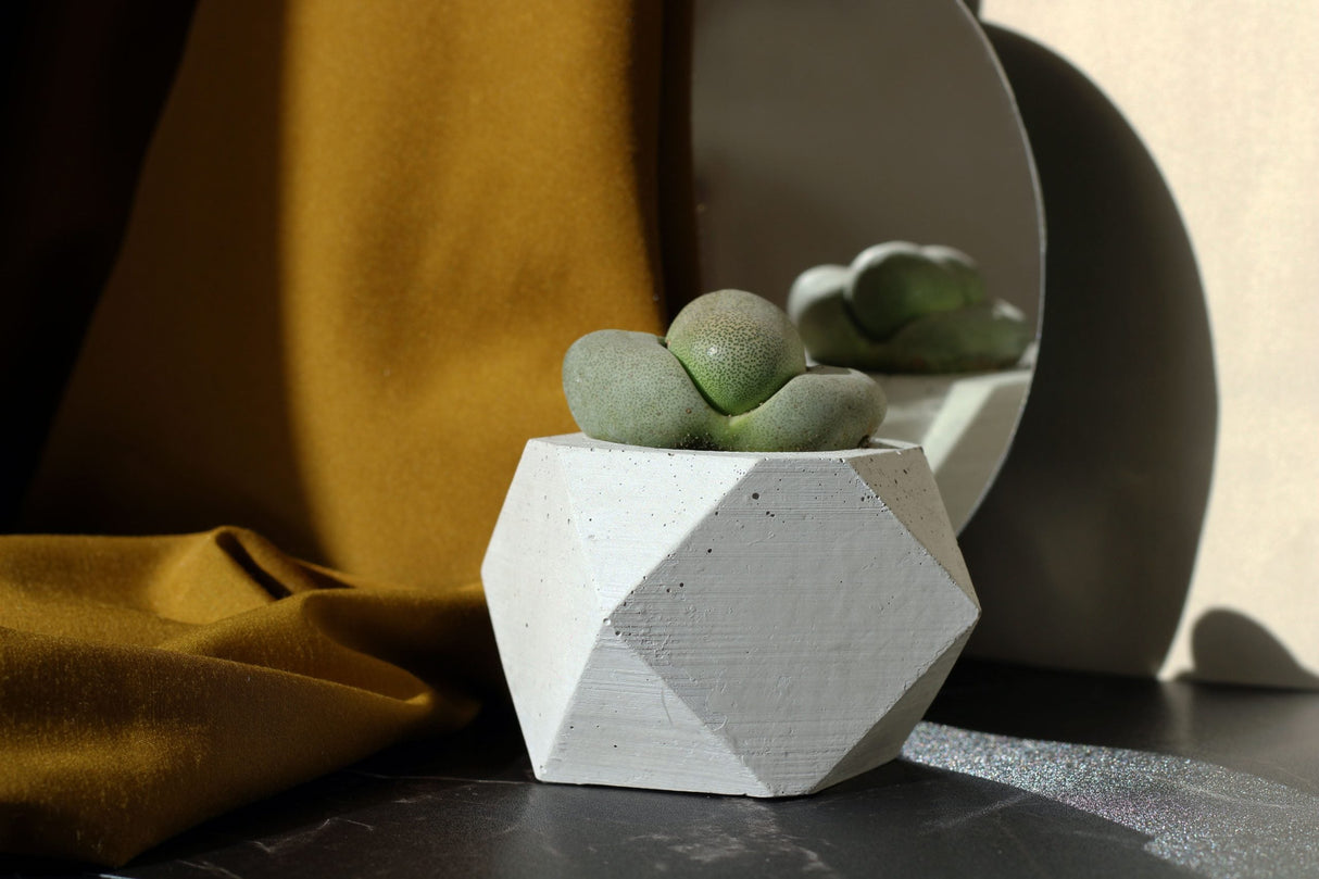 Gloria Home Concrete Polygonal Plant Pot