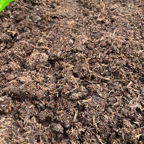 Dandy’s Farmyard Manure