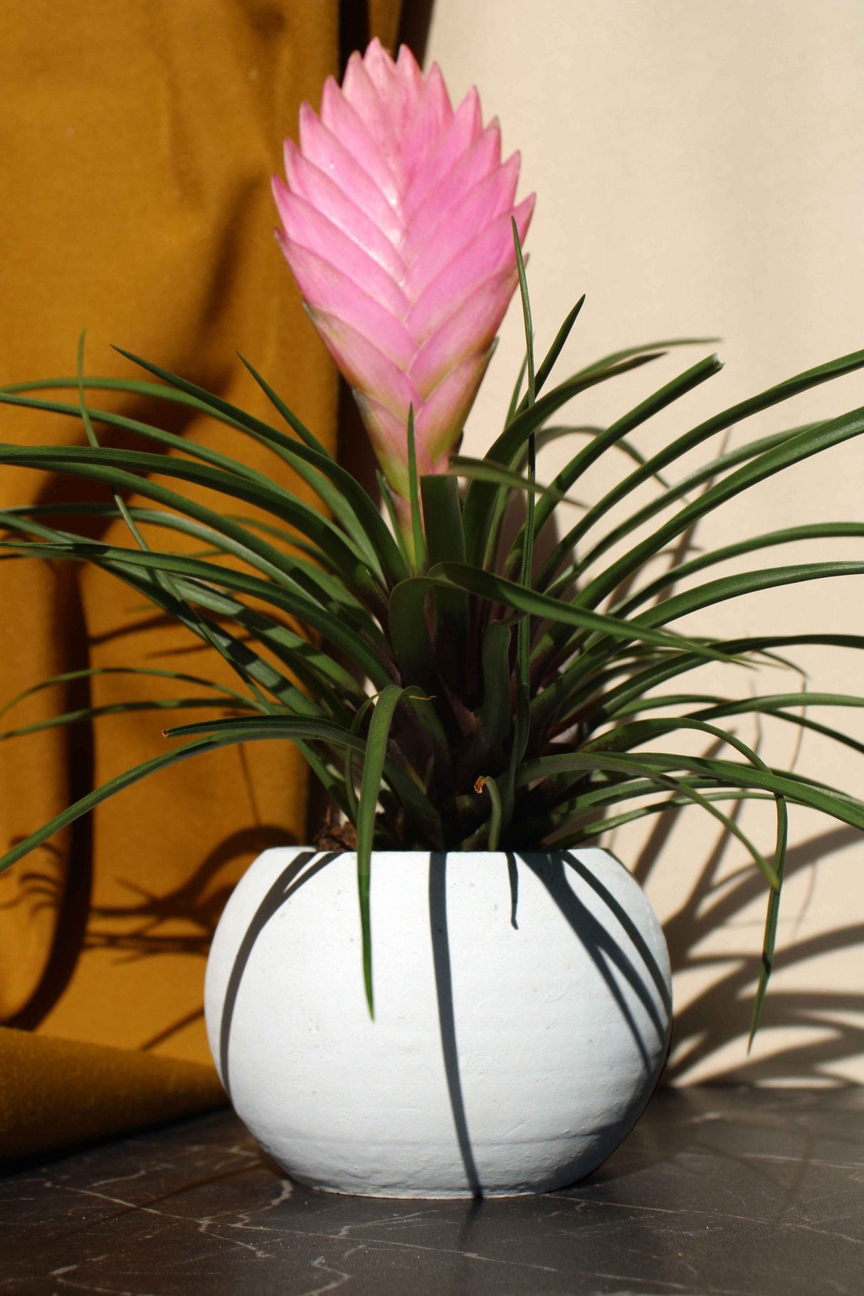 Gloria Home CONCRETE ROUND POT
