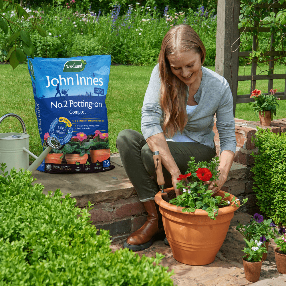 Dandy's John Innes No. 2 Peat-Free Potting On Compost 28L Bulk Buy