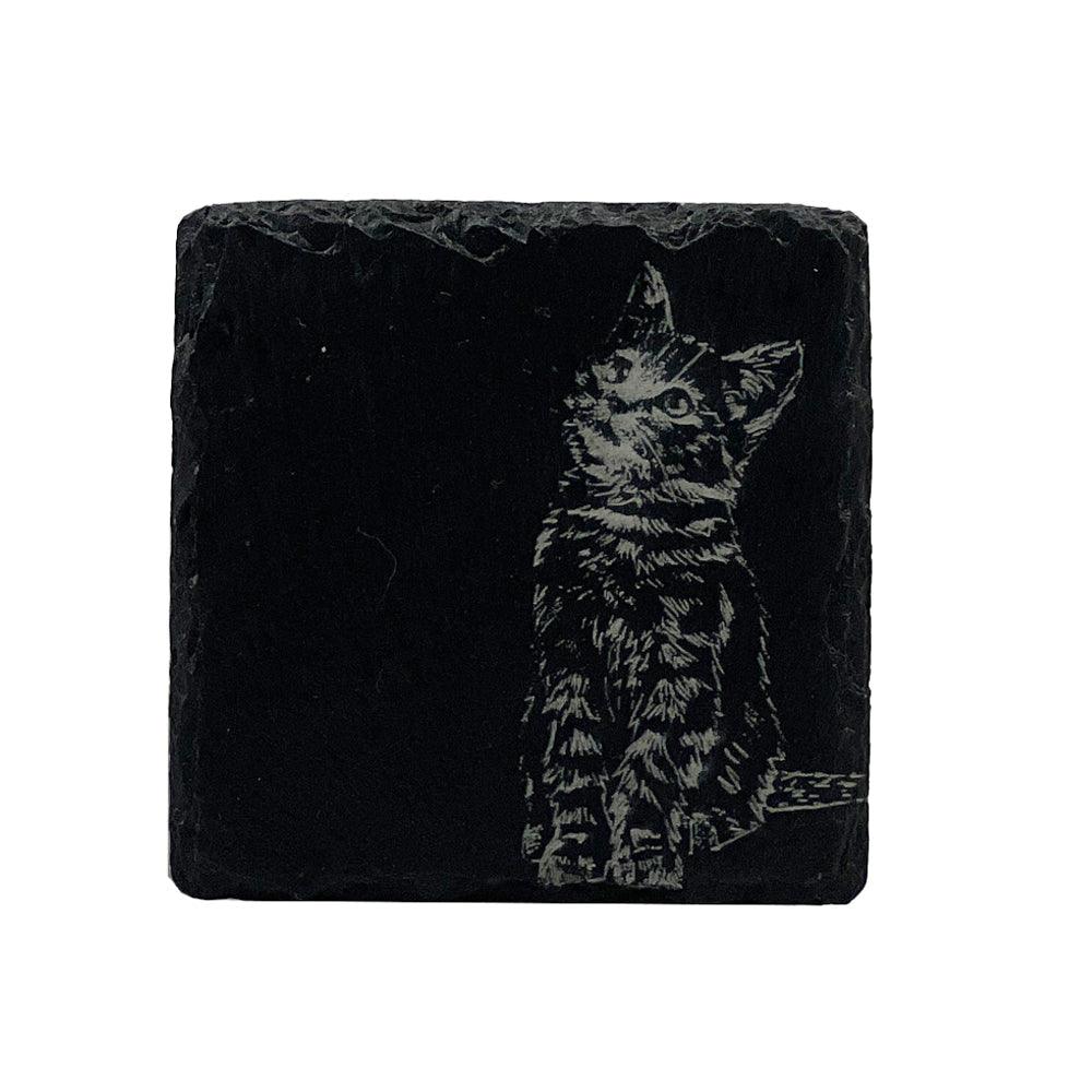 Selbrae House Tabby Cat Single Slate Coaster
