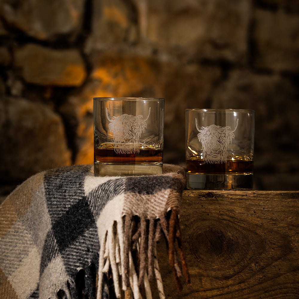 Highland Cow Glass Tumblers - Set of 2