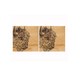 Selbrae House Bison Oak Coasters - Set of 2