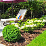 Dandy’s Landscaping Garden Bark Mulch