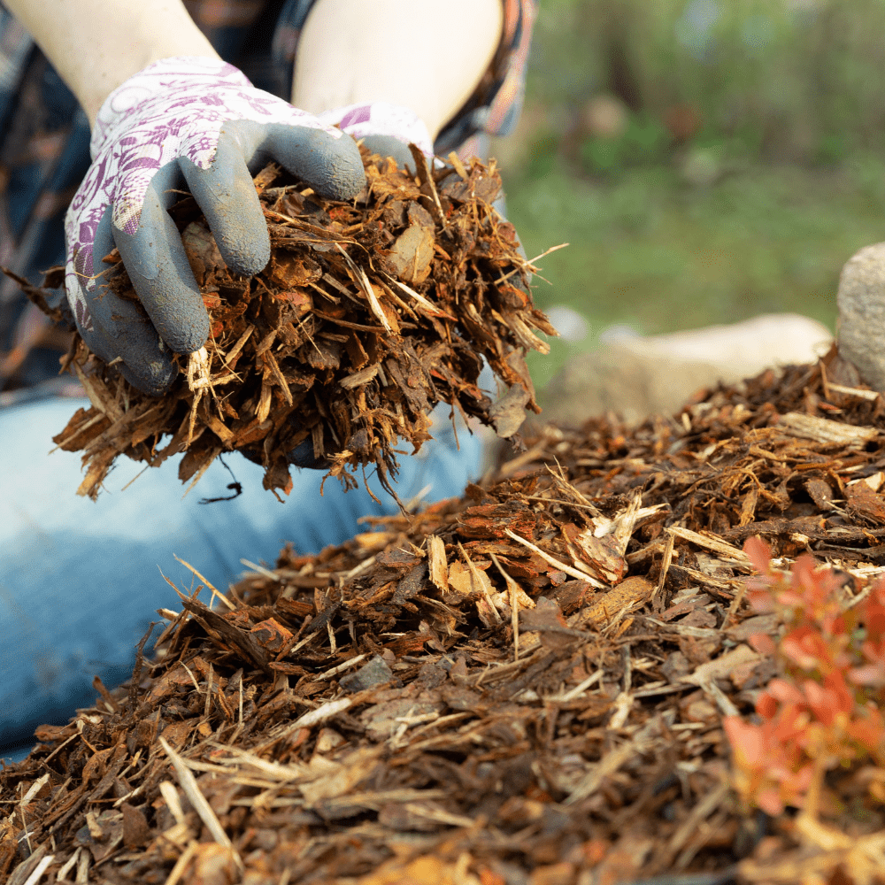 Dandy’s Landscaping Garden Bark Mulch