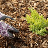 Dandy’s Landscaping Garden Bark Mulch