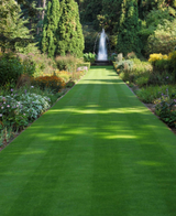 TurfStore Lawn Shade Turf Bulk Buy Saver