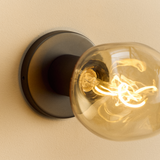 Tala Lochan Wall Light in Graphite with Voronoi I