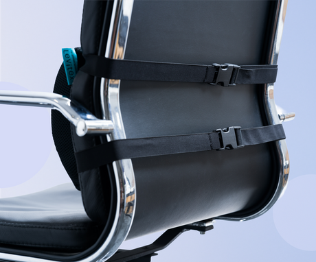 Levitex Lumbar Cushion