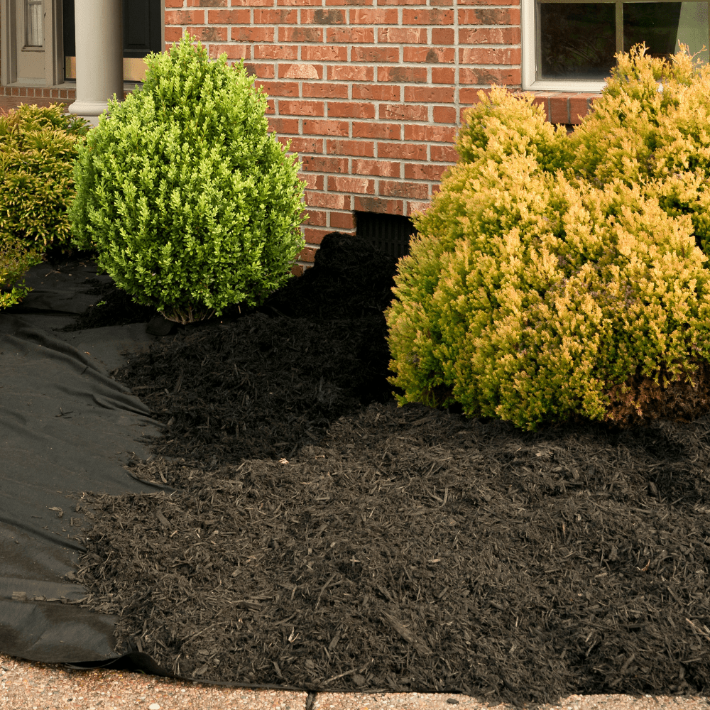 Dandy's Composted Mulch Bark Fines