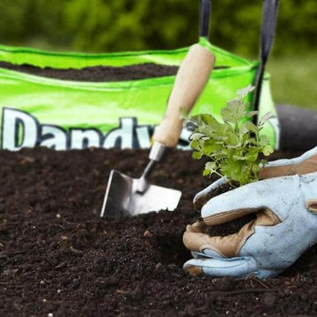 Dandy’s Multi‑Purpose Welsh Topsoil