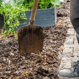 Dandy’s Farmyard Manure