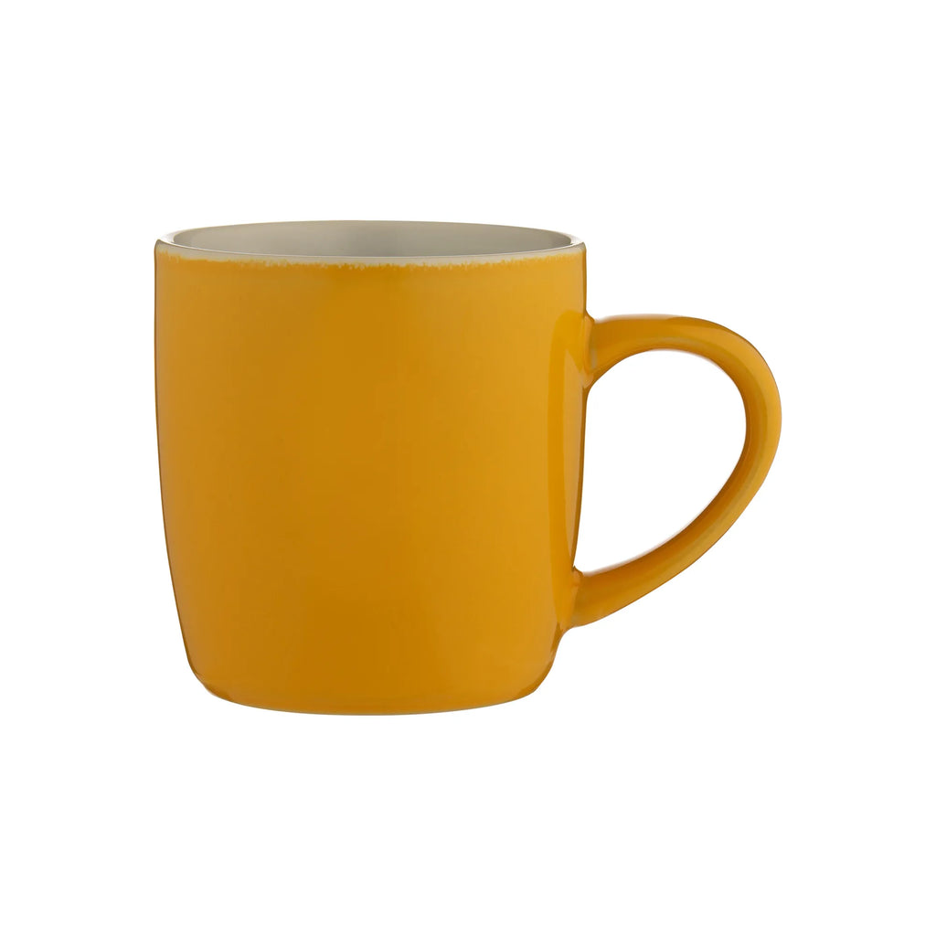 Price & Kensington Stoneware Mustard Mug, 33cl