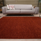 Myshaggy Solid Terra Rug by The Rugs