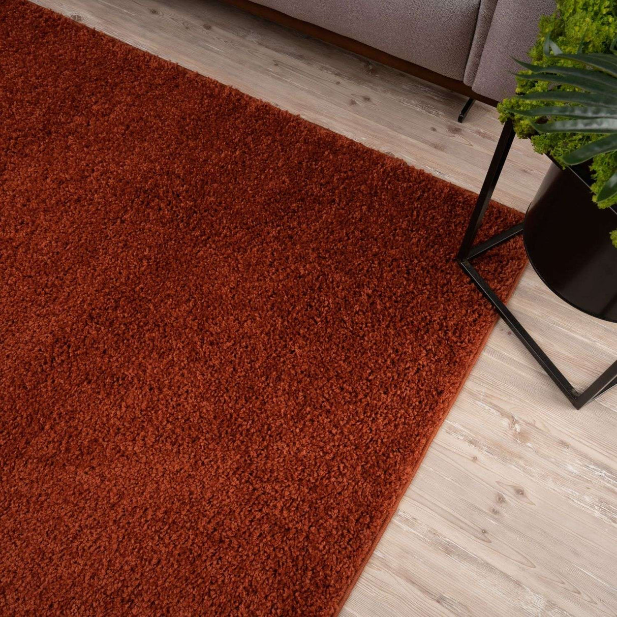 Myshaggy Solid Terra Rug by The Rugs