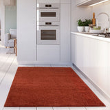 Myshaggy Solid Terra Rug by The Rugs