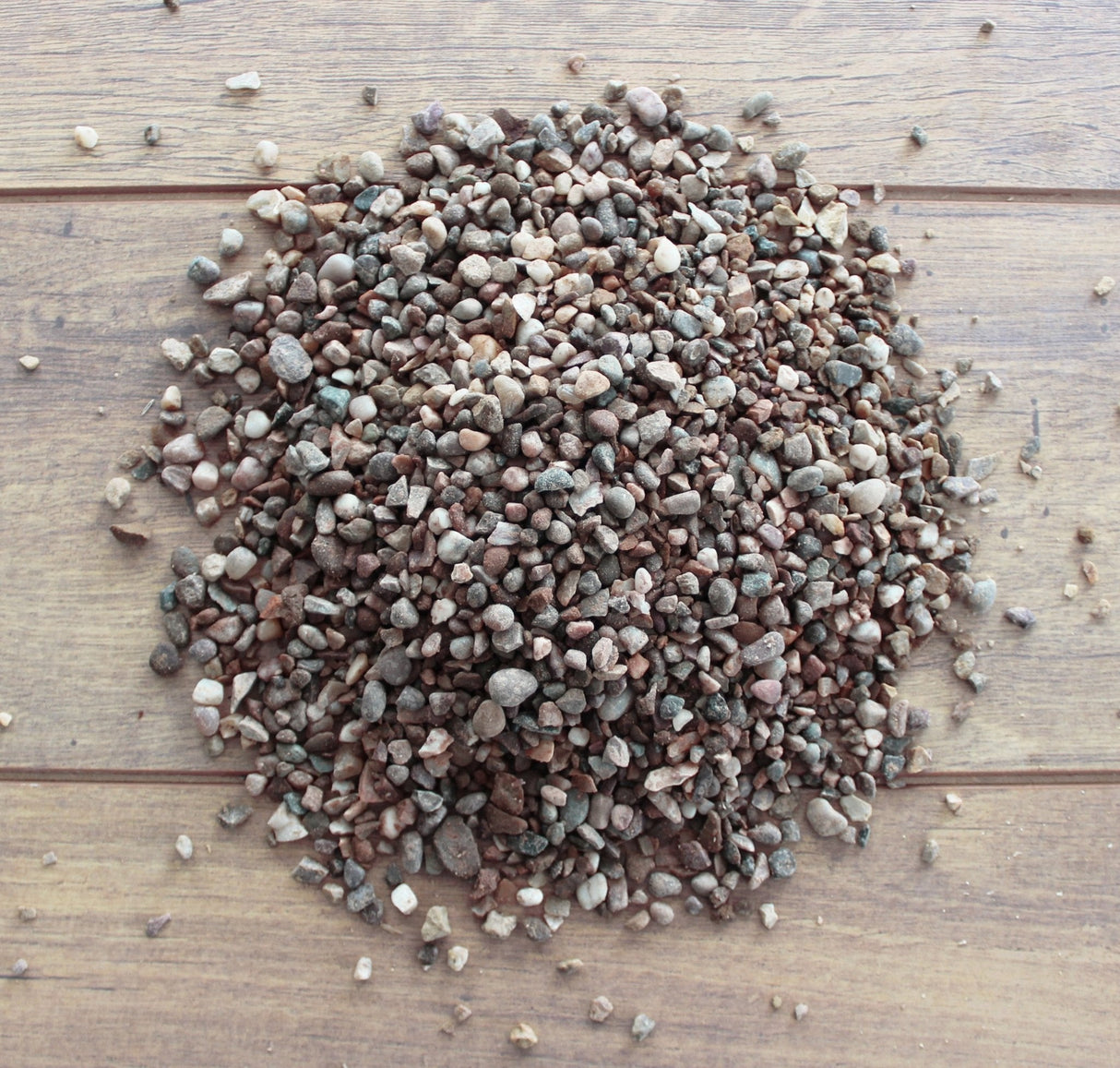 Dandy’s Horticultural Grit