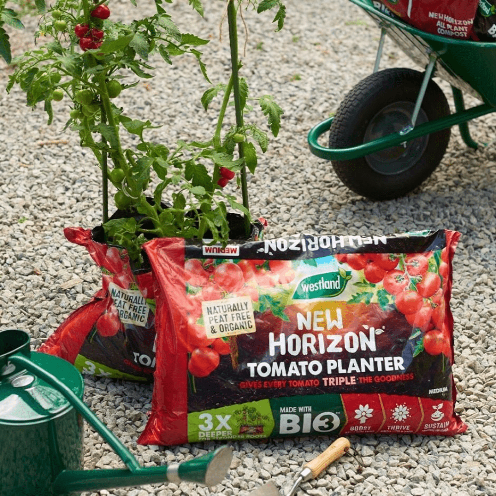 Dandy's New Horizon Tomato Planter Bulk Buy