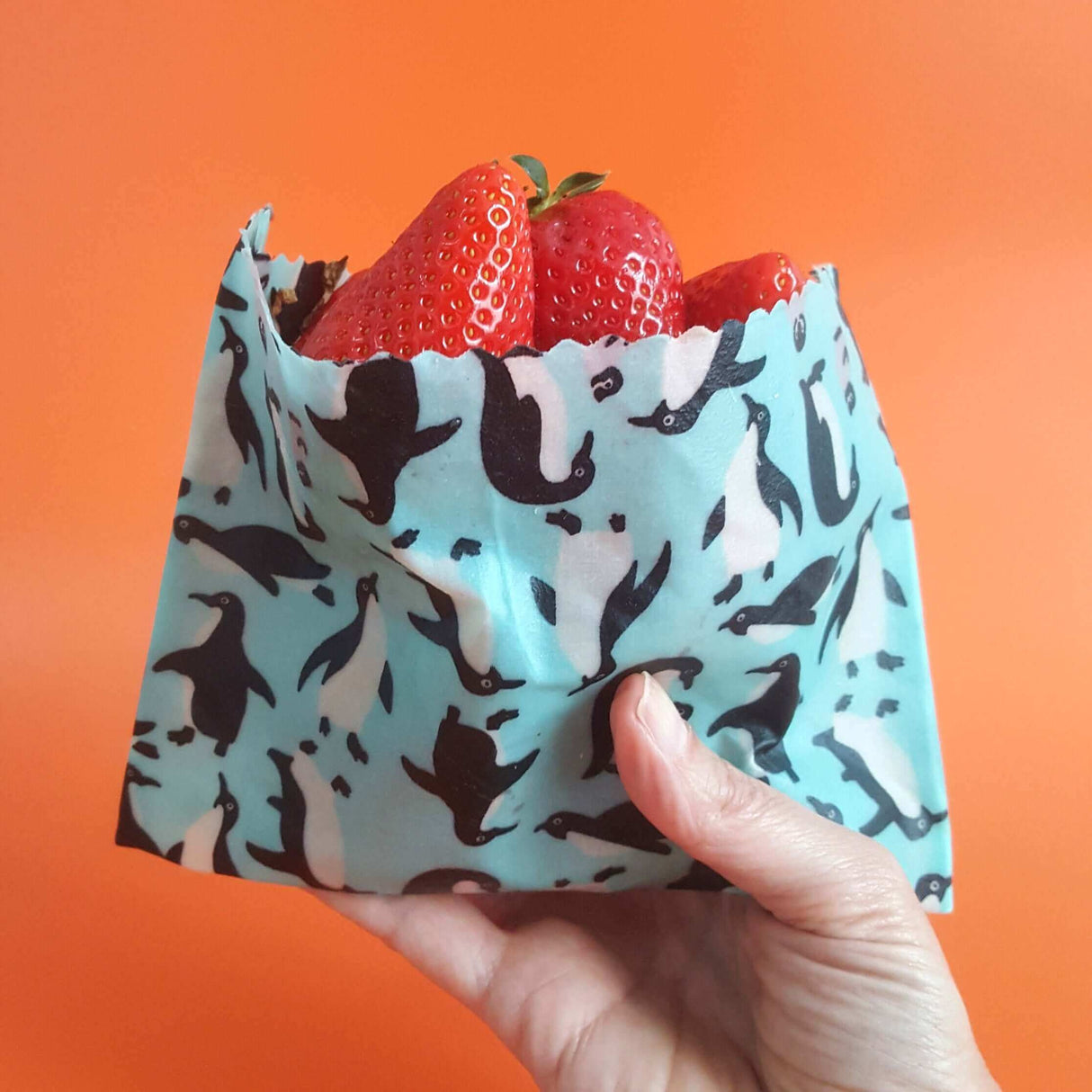 Honey Bee Good Beeswax Wraps Wings - Set of 3