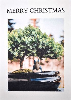 Yorkshire Bonsai Personalised Merry Christmas Greeting Card
