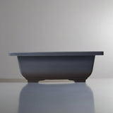 Yorkshire Bonsai Plastic Bonsai Training Pot Rectangle - 16cm