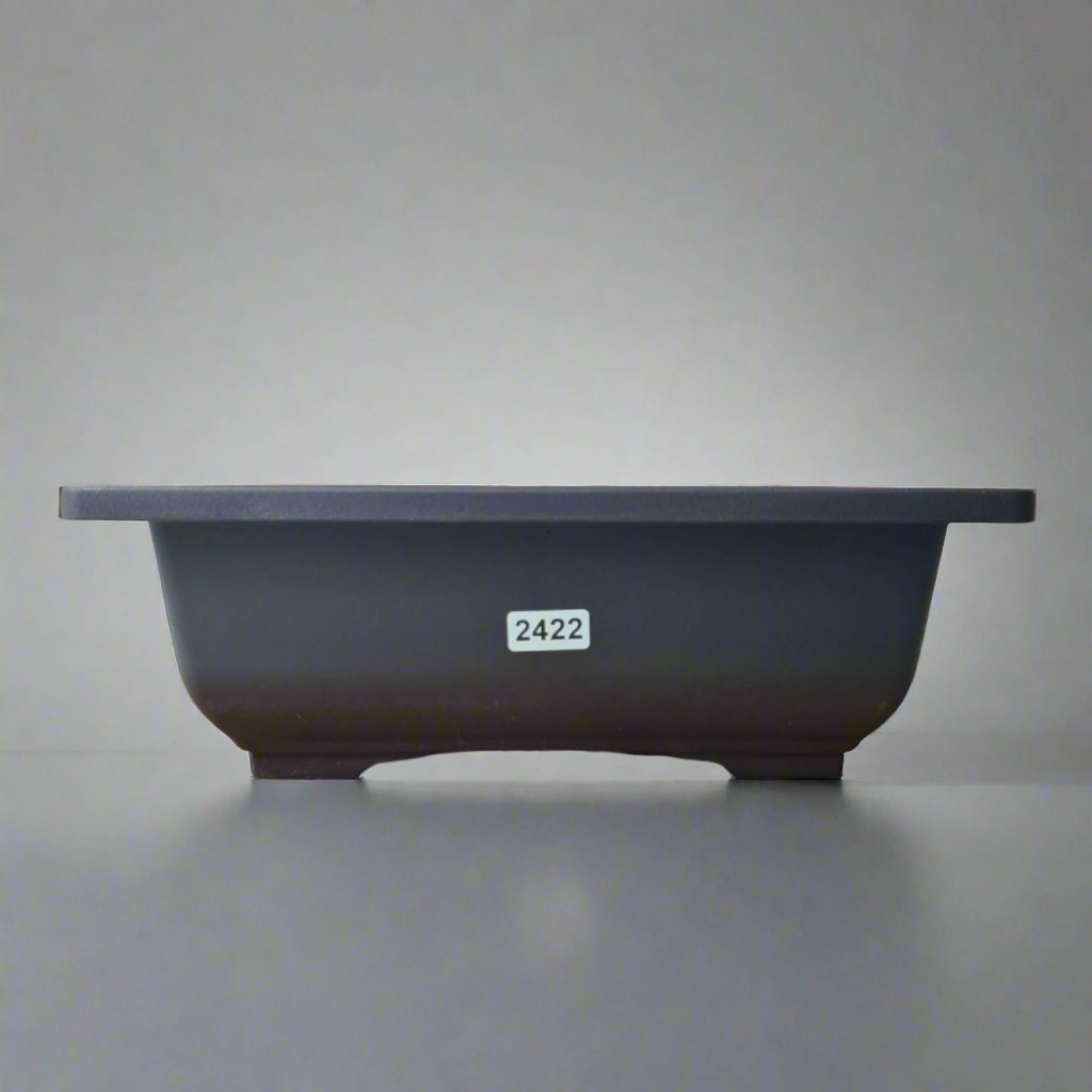Yorkshire Bonsai Plastic Bonsai Training Pot Rectangle - 23cm