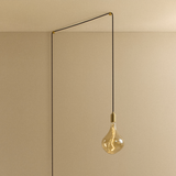 Tala Voronoi II Plug-In Pendant in Brass