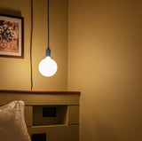 Tala Plug-In Pendant in Stainless Steel