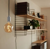 Tala Plug-In Pendant in Stainless Steel