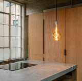 Tala Voronoi III Plug In Pendant in Stainless Steel
