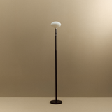 Tala Poise Adjustable Floor Lamp in Graphite
