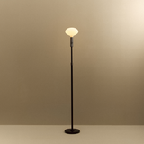 Tala Poise Adjustable Floor Lamp in Graphite