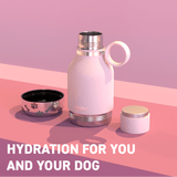 Asobu Dog Bowl Bottle, 1L, Pink