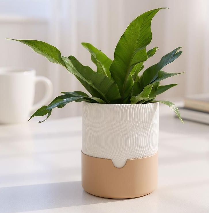 Filamora Studios Ribbed Self-Watering Planter - Set of 2
