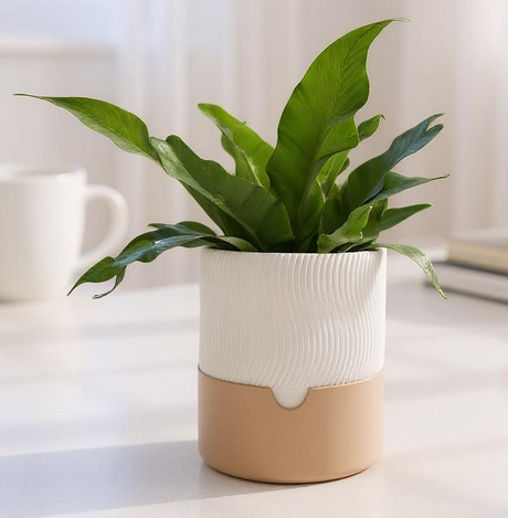 Filamora Studios Ribbed Self-Watering Planter - Set of 2