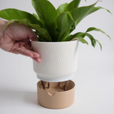 Filamora Studios Ribbed Self-Watering Planter - Set of 2