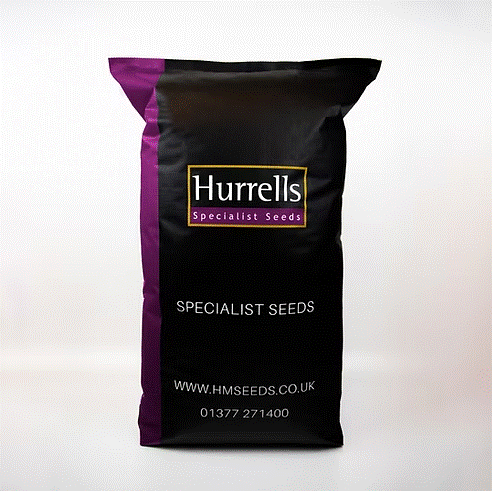 TurfStore HL.6 Birdstrike Airport Grass Seed Mix for Airfields & Runways