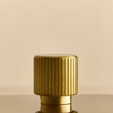 Tala Double Rotary Wall Dimmer in Brass