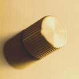 Tala Single Rotary Wall Dimmer in Brass
