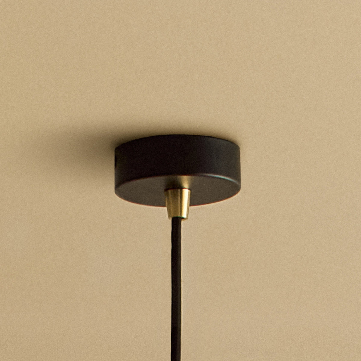 Tala Sphere II Pendant Light in Walnut