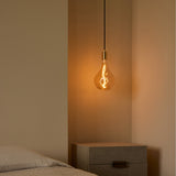 Tala Voronoi II Pendant Light in Brass