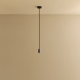 Tala Graphite Pendant Light