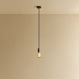 Tala Squirrel Cage Pendant Light in Graphite