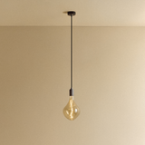 Tala Voronoi II Pendant Light in Graphite